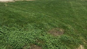 A large building with a green roof, a paved driveway, and a small pond. - Looking for a cozy getaway? This country property is perfect!  (Weldon)