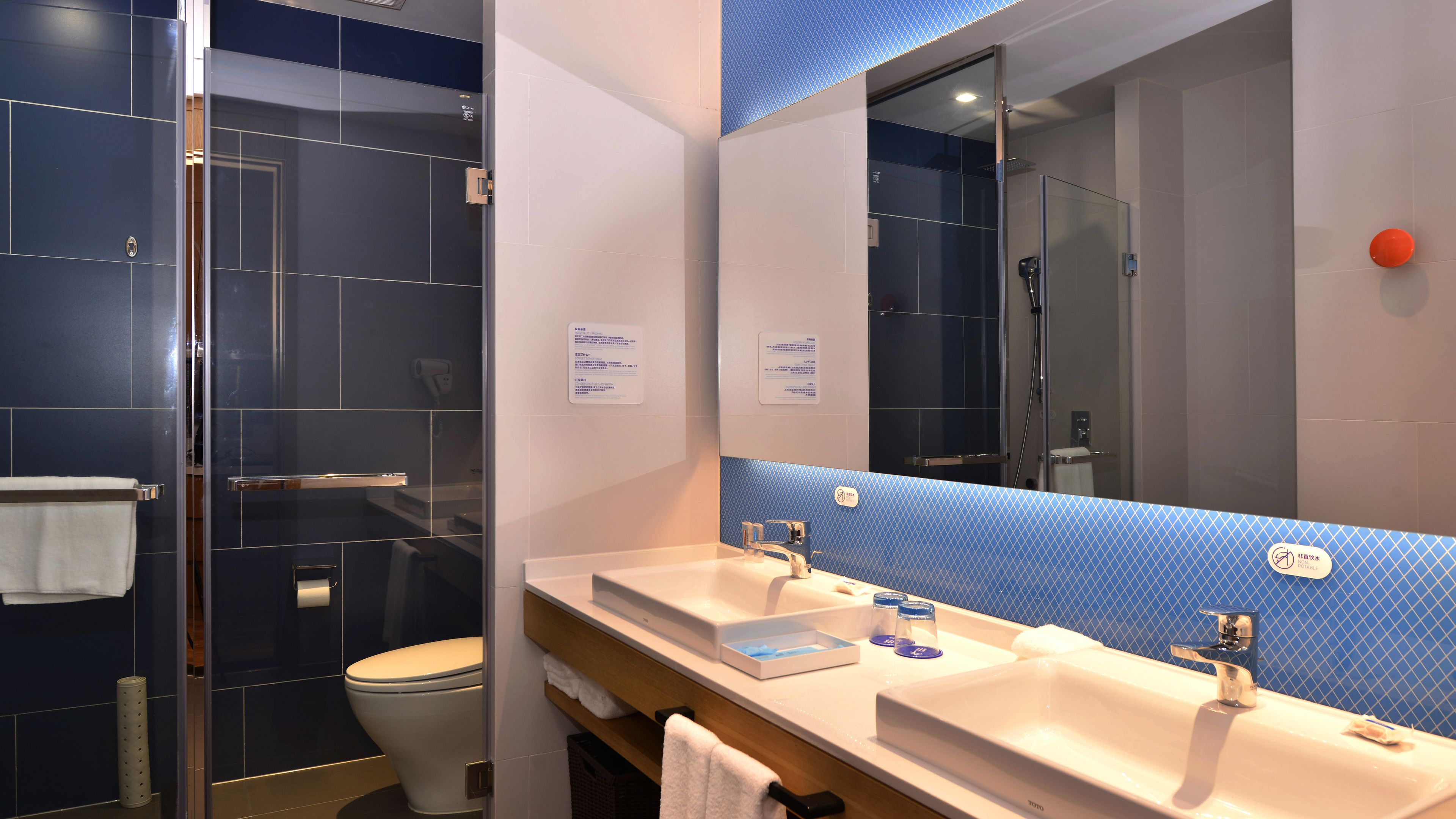 A modern bathroom with a glass shower enclosure, a toilet, and a double sink vanity with a mirror.