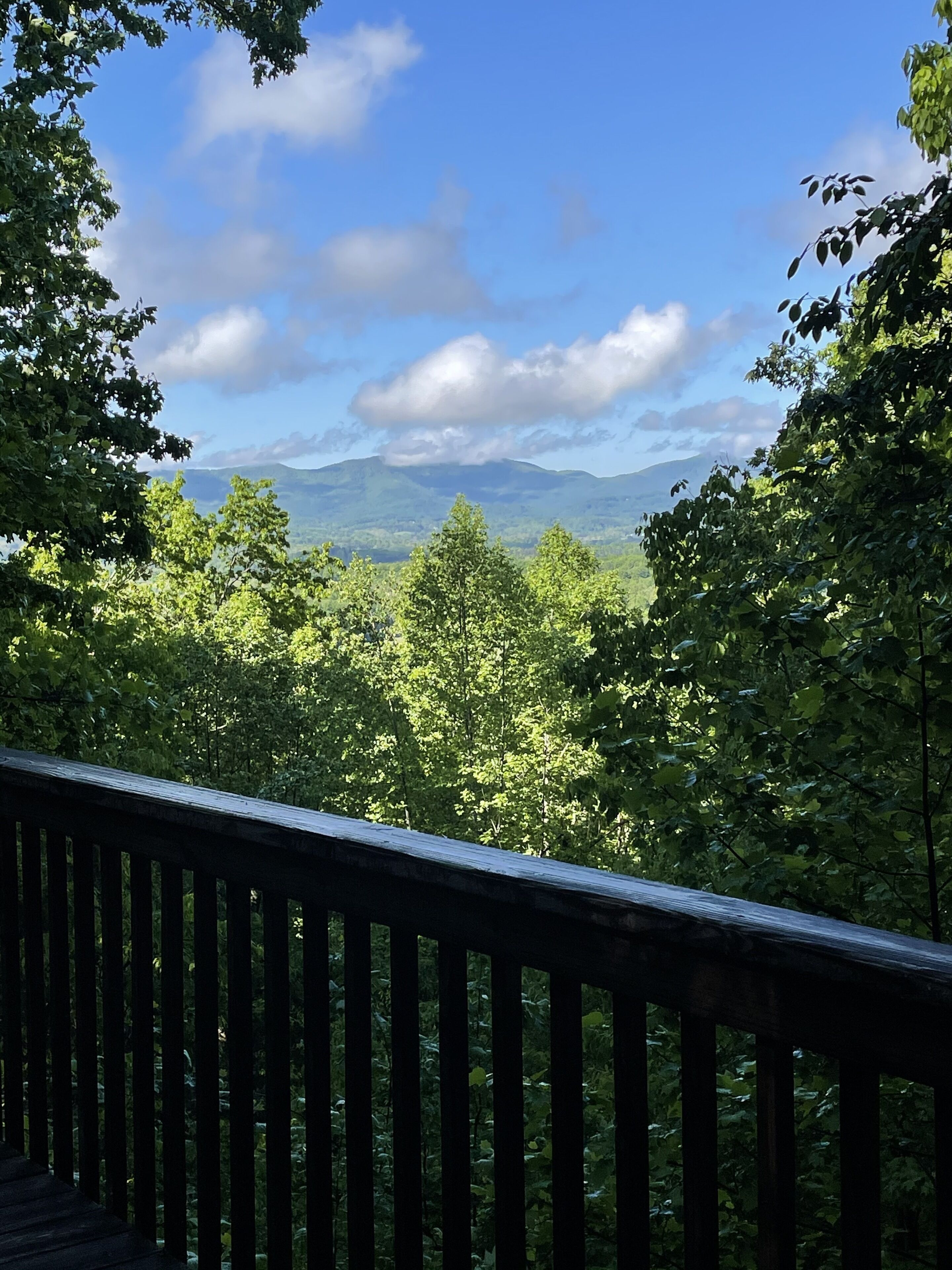 High up on Mtn - View & Hot Tub for an 'Altitude-Adjustment' 