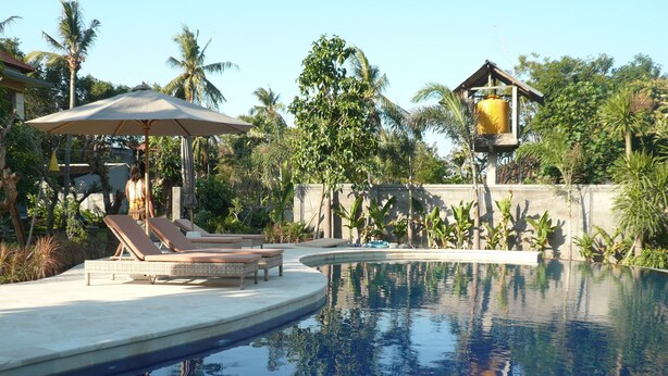 A swimming pool with lounge chairs and umbrellas, surrounded by tropical vegetation. - Villa Zukunft Babonsay (Karangasem)