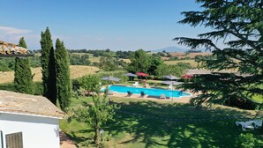 A swimming pool with lounge chairs and umbrellas, surrounded by a well-maintained lawn and tall trees. - Il Raggio di Sole (Bagnoregio)