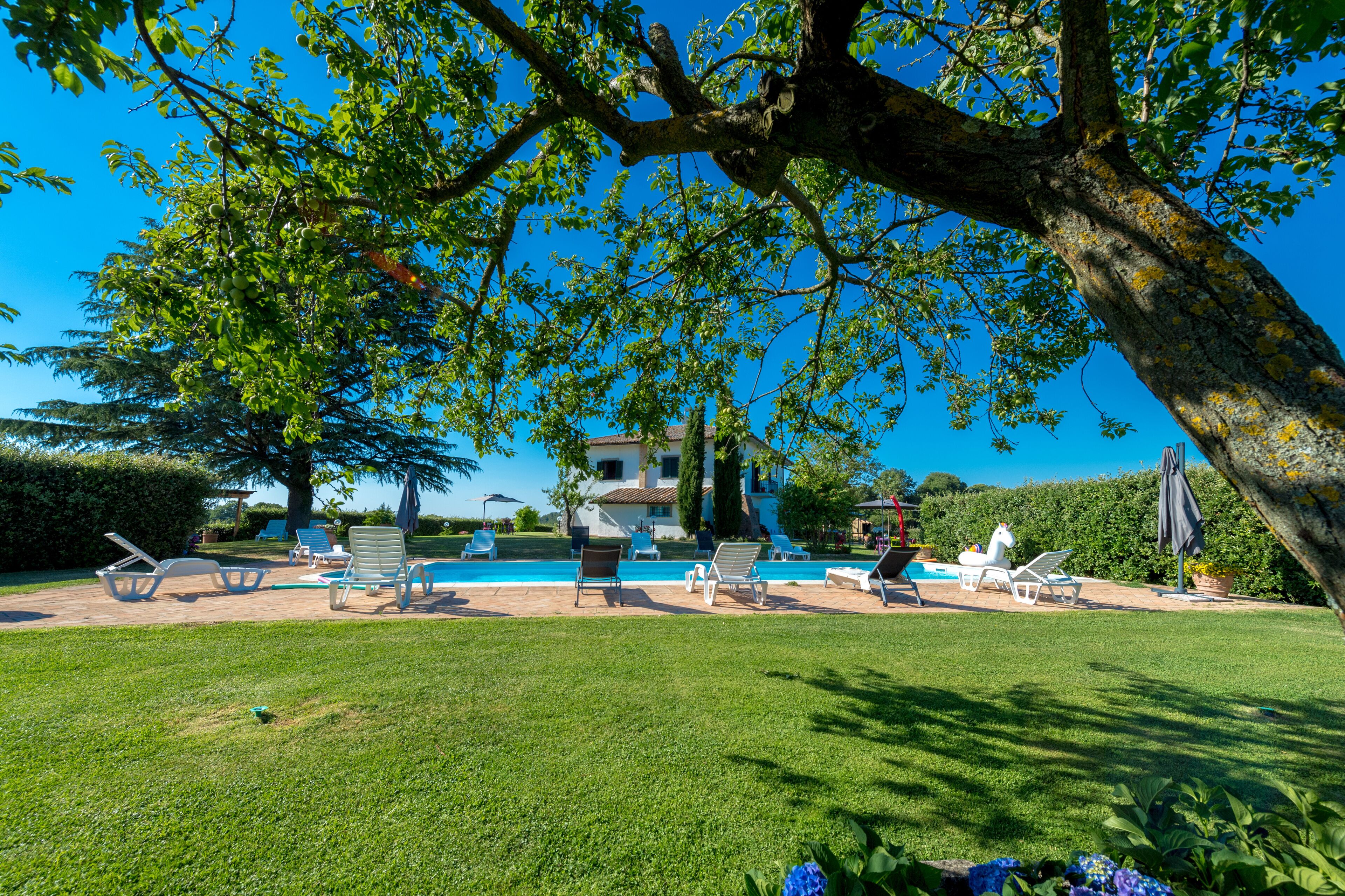 A pool area with lounge chairs and a large tree providing shade.