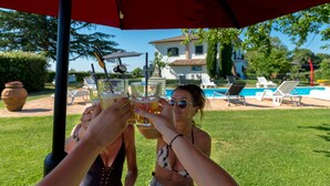 A group of people toasting with drinks under a red umbrella, with a pool and a house in the background. - Il Raggio di Sole (Bagnoregio)
