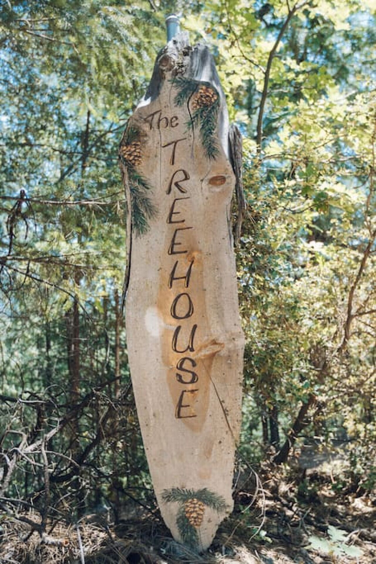 Ein hölzernes Schild mit der Aufschrift "The Treehouse" in einem bewaldeten Gebiet.