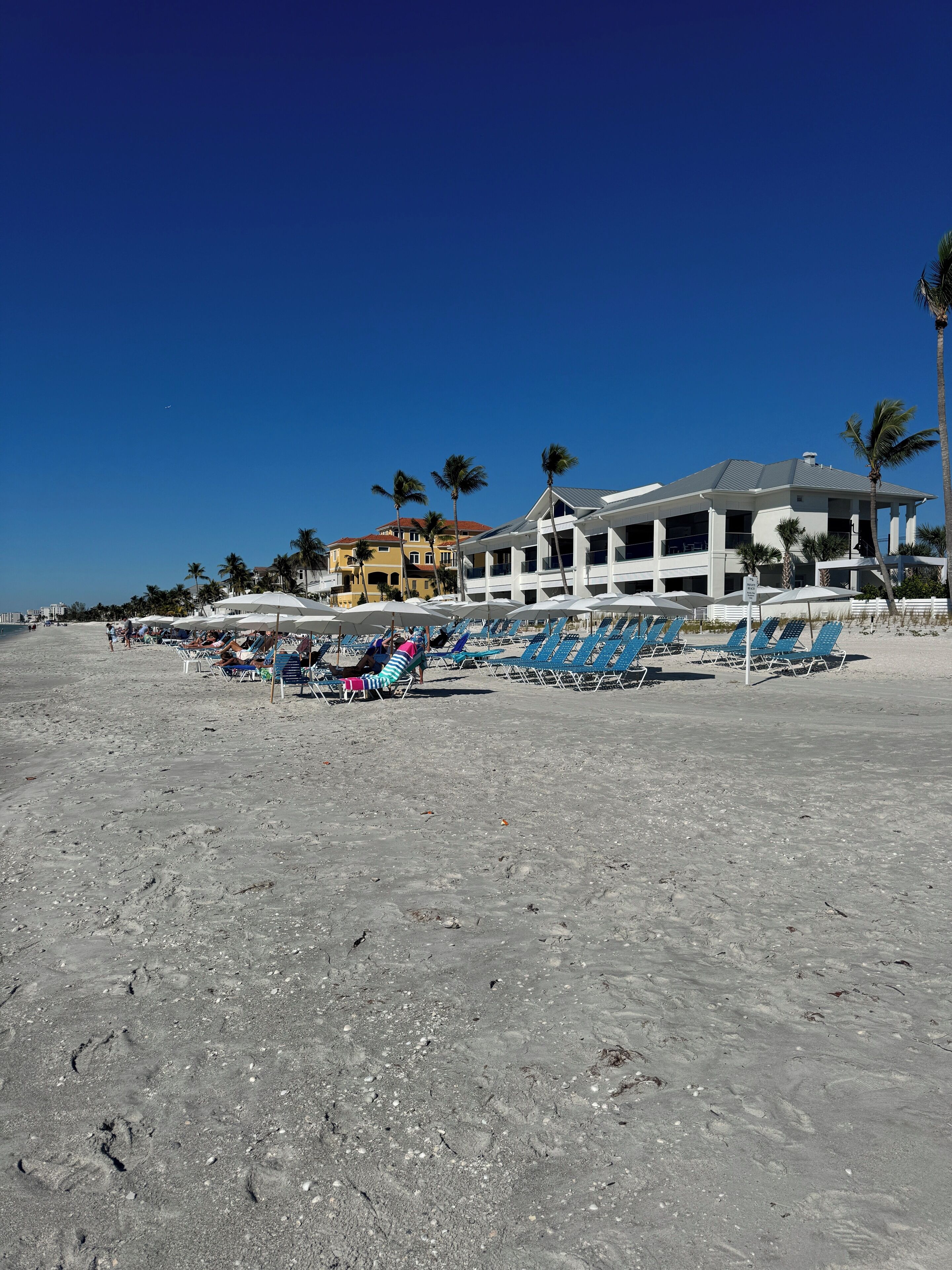 Una spiaggia con lettini e ombrelloni, un grande edificio con molti balconi e palme.