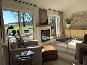 Smart TV, fireplace, DVD player, video library