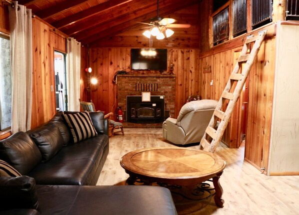 TV, fireplace, video games, DVD player