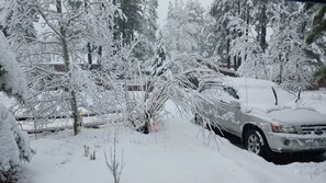 Property grounds - Country home in friendly neighborhood surrounded by forest (Flagstaff)