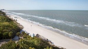 Una playa con vista despejada al océano, una orilla arenosa y algo de vegetación.