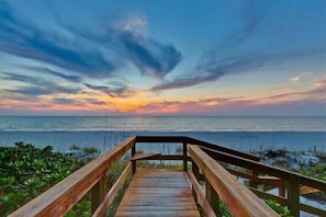 Walk along the beachside boardwalk surrounded by lush greenery and enjoy the ocean views.