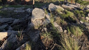 Un paisaje montañoso con cielo despejado, terreno pedregoso y algunos árboles dispersos.