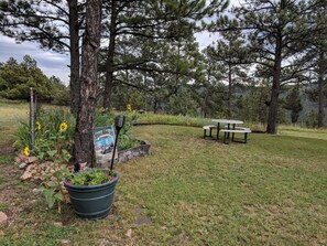 Outdoor dining - Highland Cliff Haven @EvansCliff, High Canyon vista, super quiet / Private  NEW (Hot Springs)