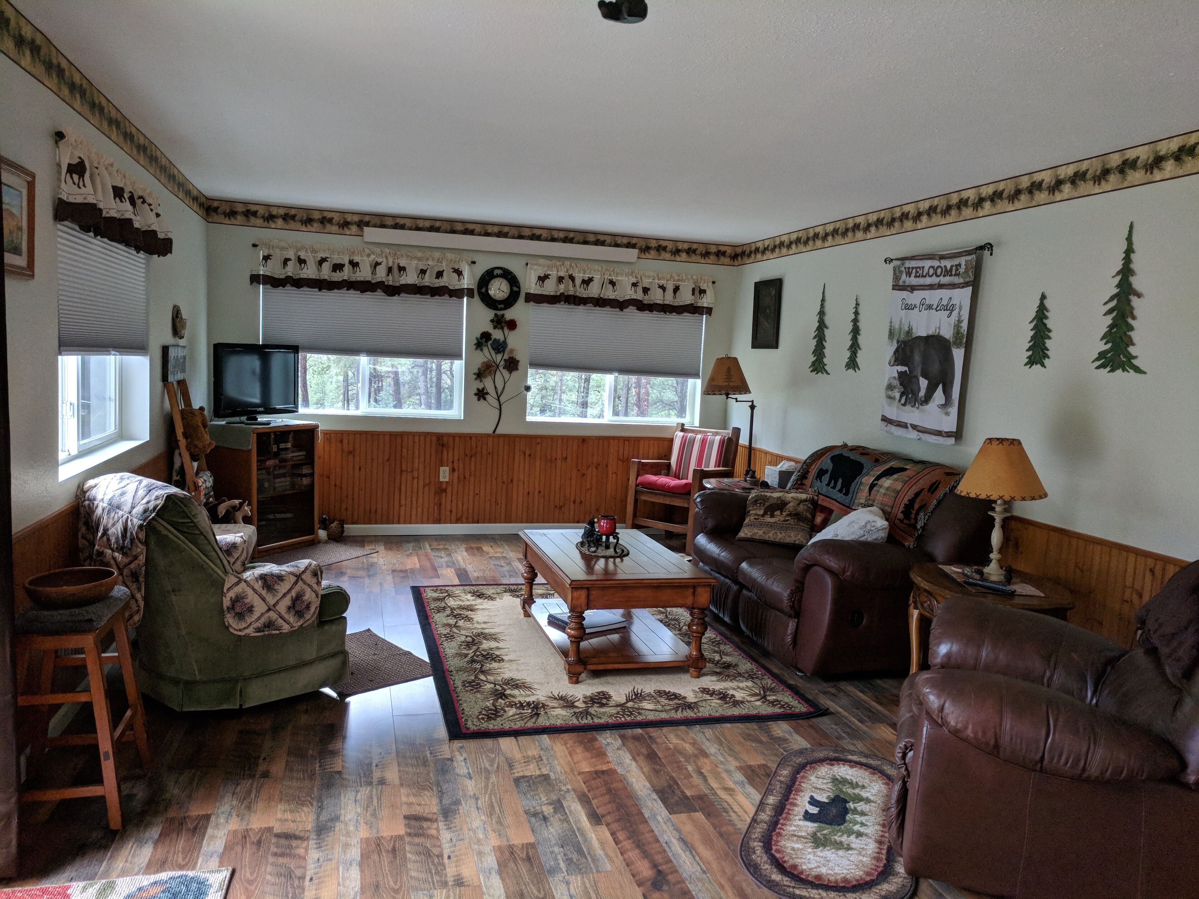 TV, fireplace, DVD player, books