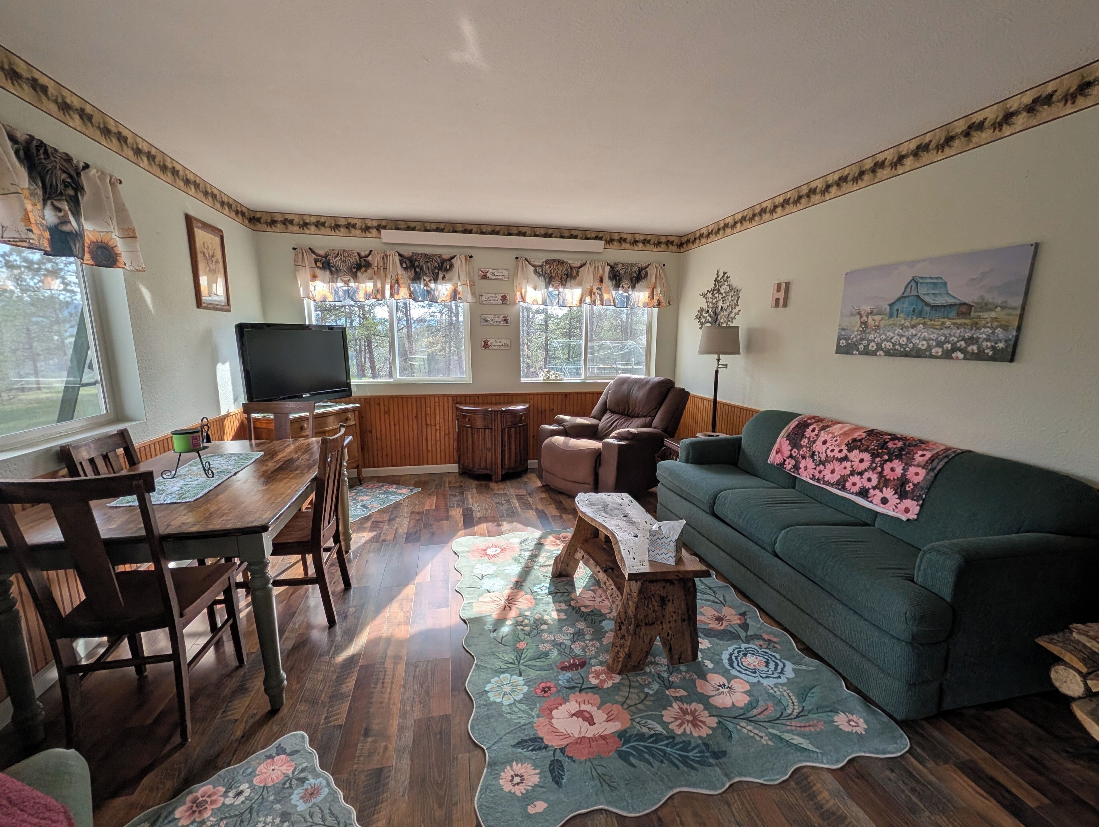 TV, fireplace, DVD player, books