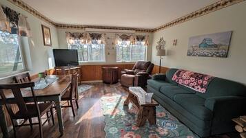 TV, fireplace, DVD player, books
