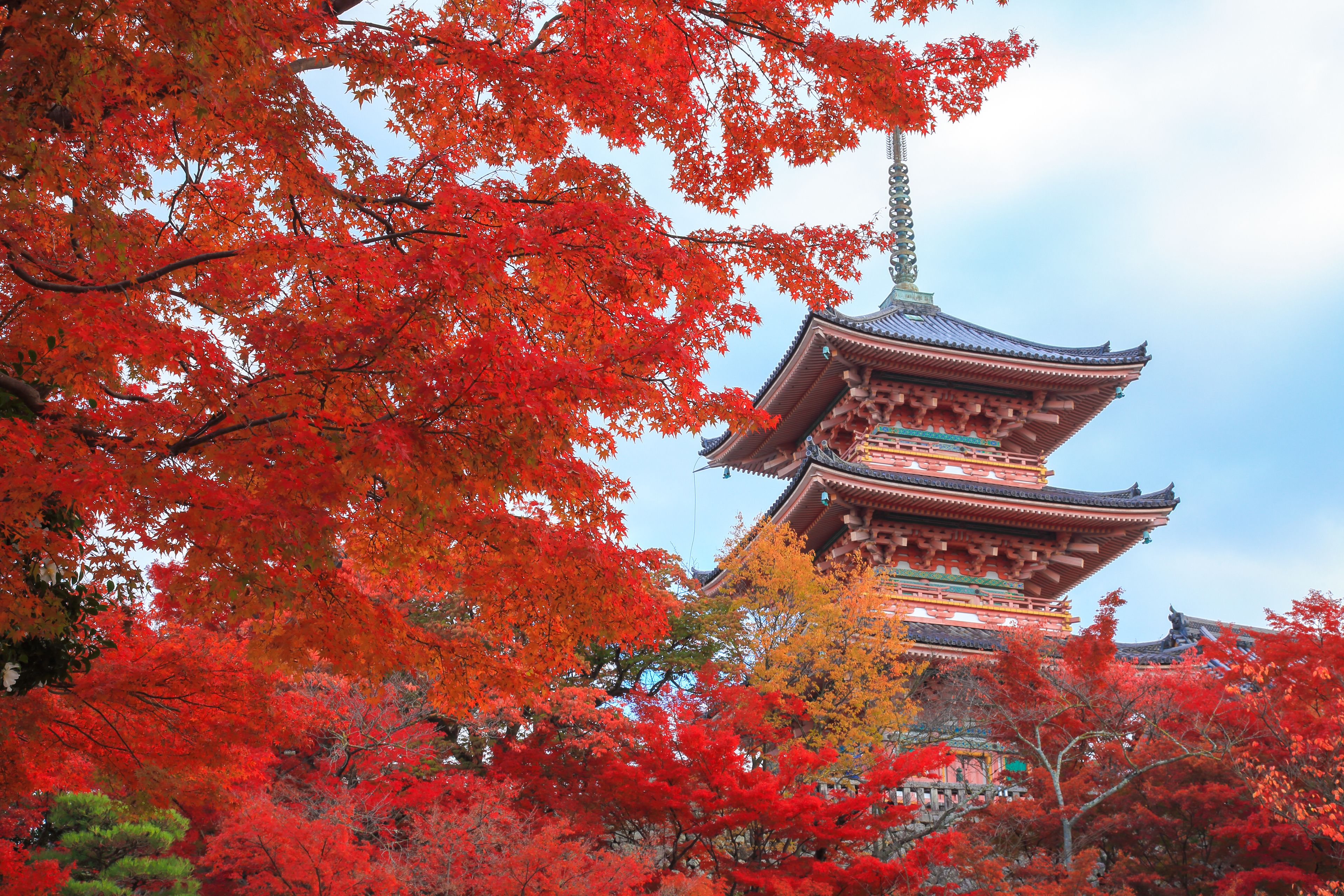 Foto - Ryokan Hostel Gion