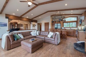 Smart TV, fireplace, books, music library