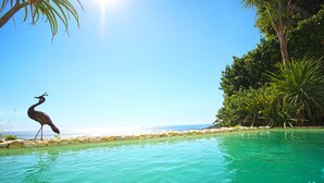 A bird standing by a pool with a clear view of the ocean and a tropical setting.