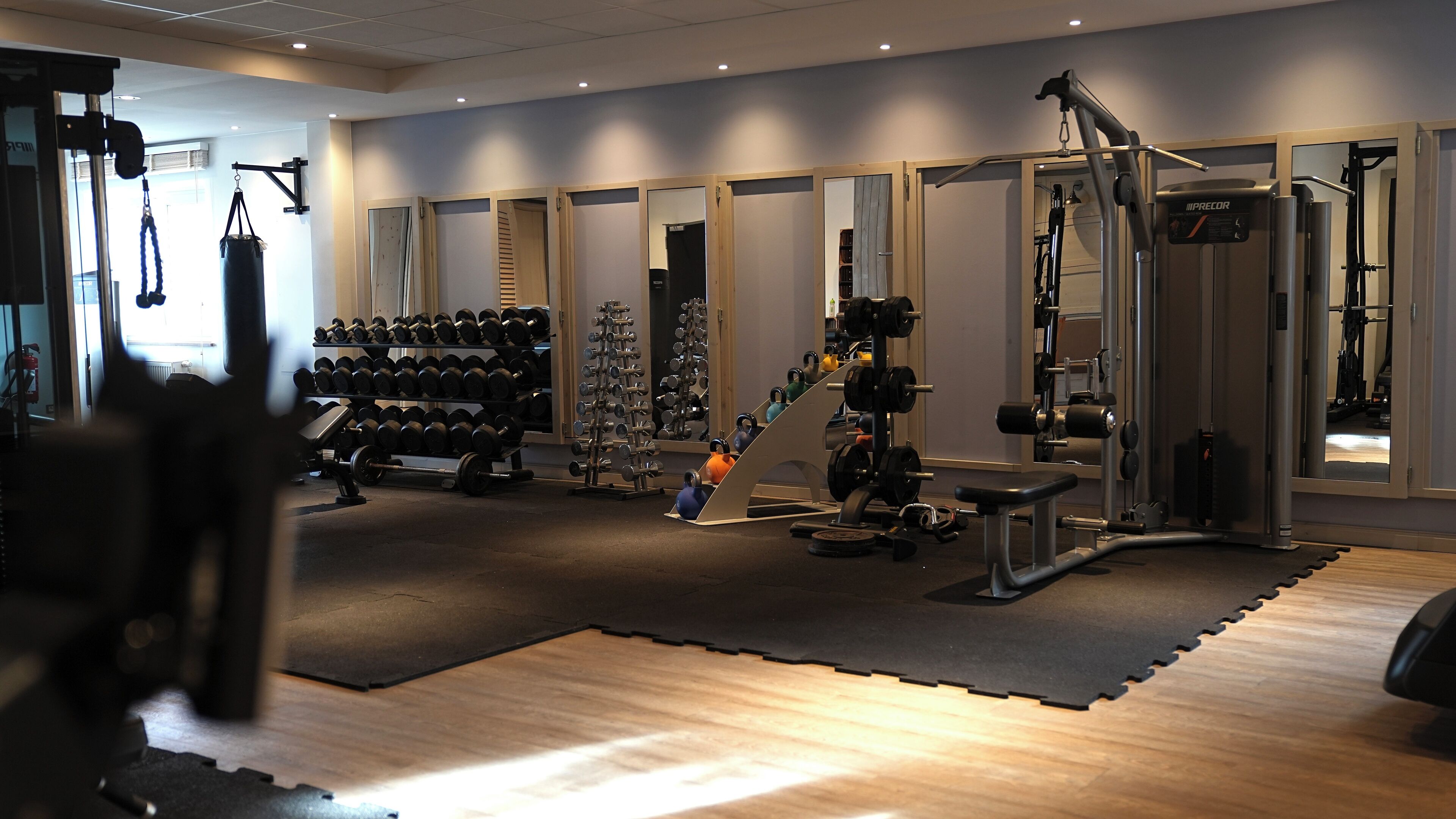 A gym with various exercise equipment, including dumbbells, kettlebells, and weight machines.