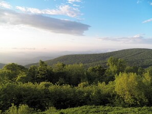 Een bergachtig landschap met dichte groene bossen en een heldere lucht.