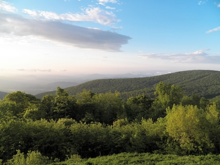 2br/2ba: Million Dollar View from Luxury Condo on the Ridge.