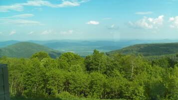 A mountainous landscape with dense green forests and a clear sky.