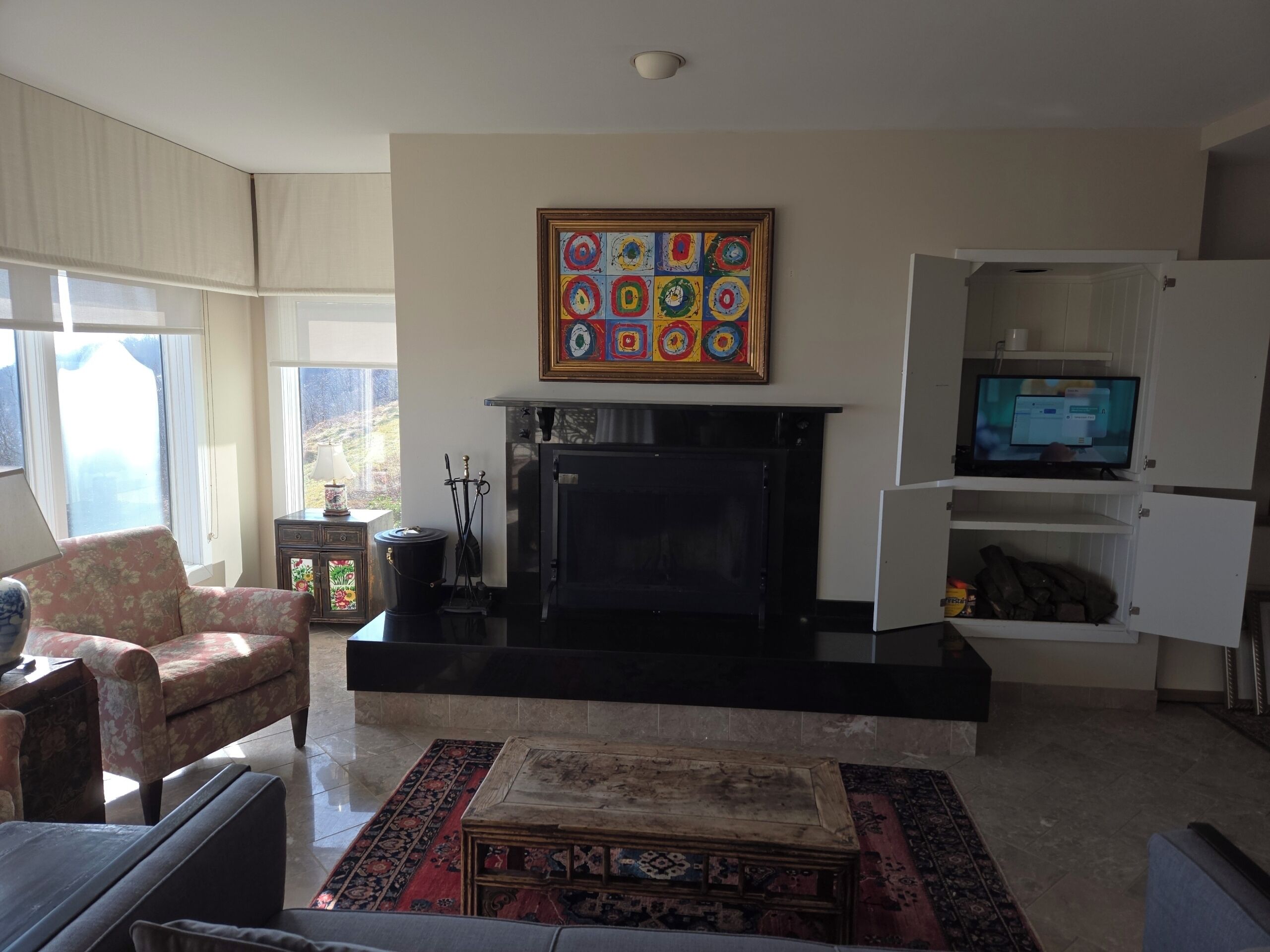 電視、壁爐、DVD 播放機、書籍