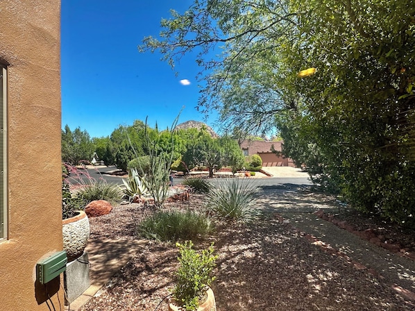 Un jardín ajardinado con diversas plantas y un sendero pavimentado.