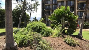 A landscaped area with various plants and trees, a palm tree, and a building with balconies in the background.