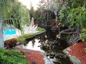 温水プール