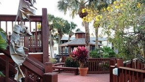 A wooden deck with a pergola, palm trees, and a potted plant. - Park Shore Resort #258 Top loc. Spectacular view, Beach, Tennis, Pickleball, Gym (Naples)