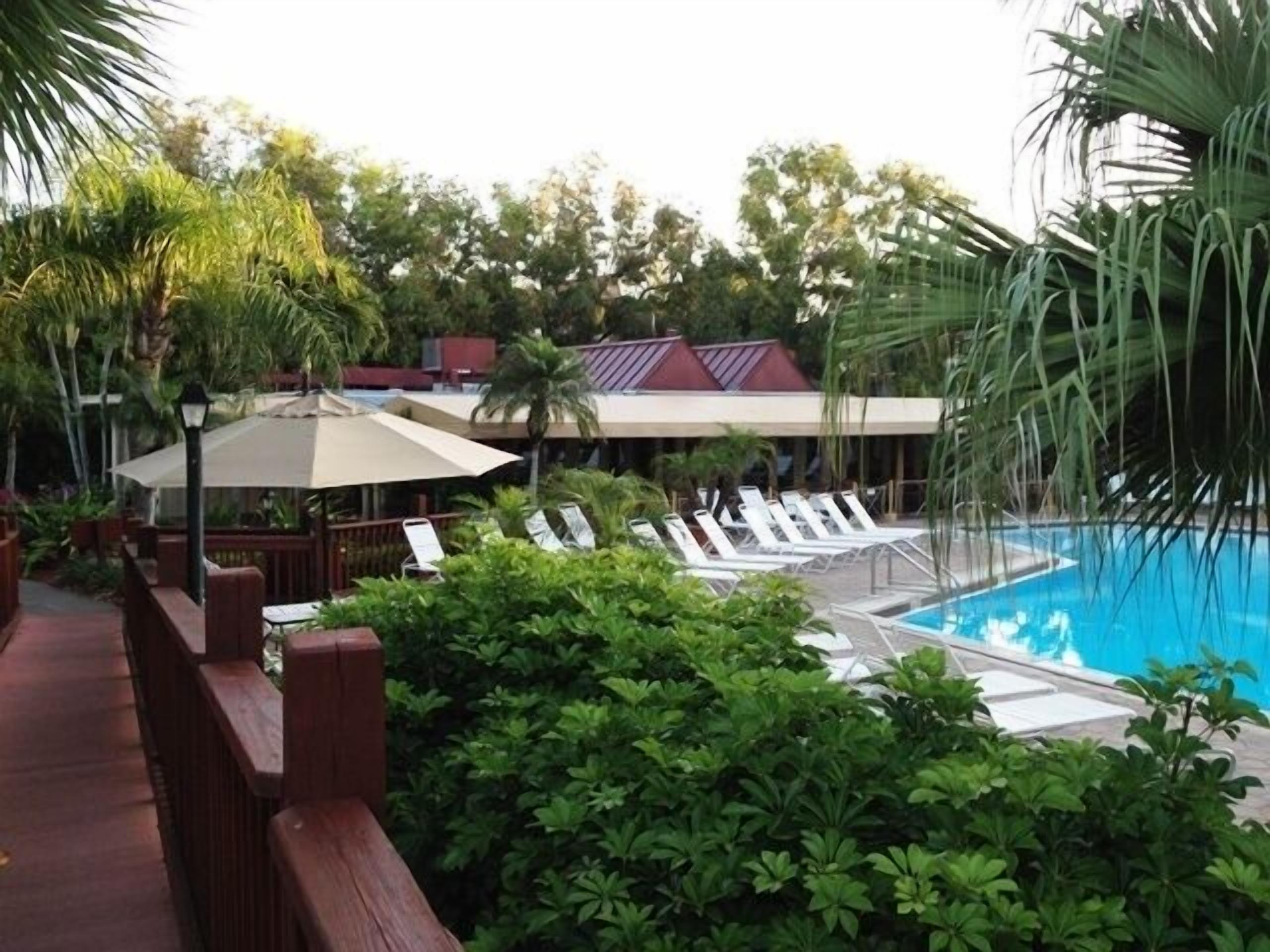 A poolside area with lounge chairs, umbrellas, and lush greenery.