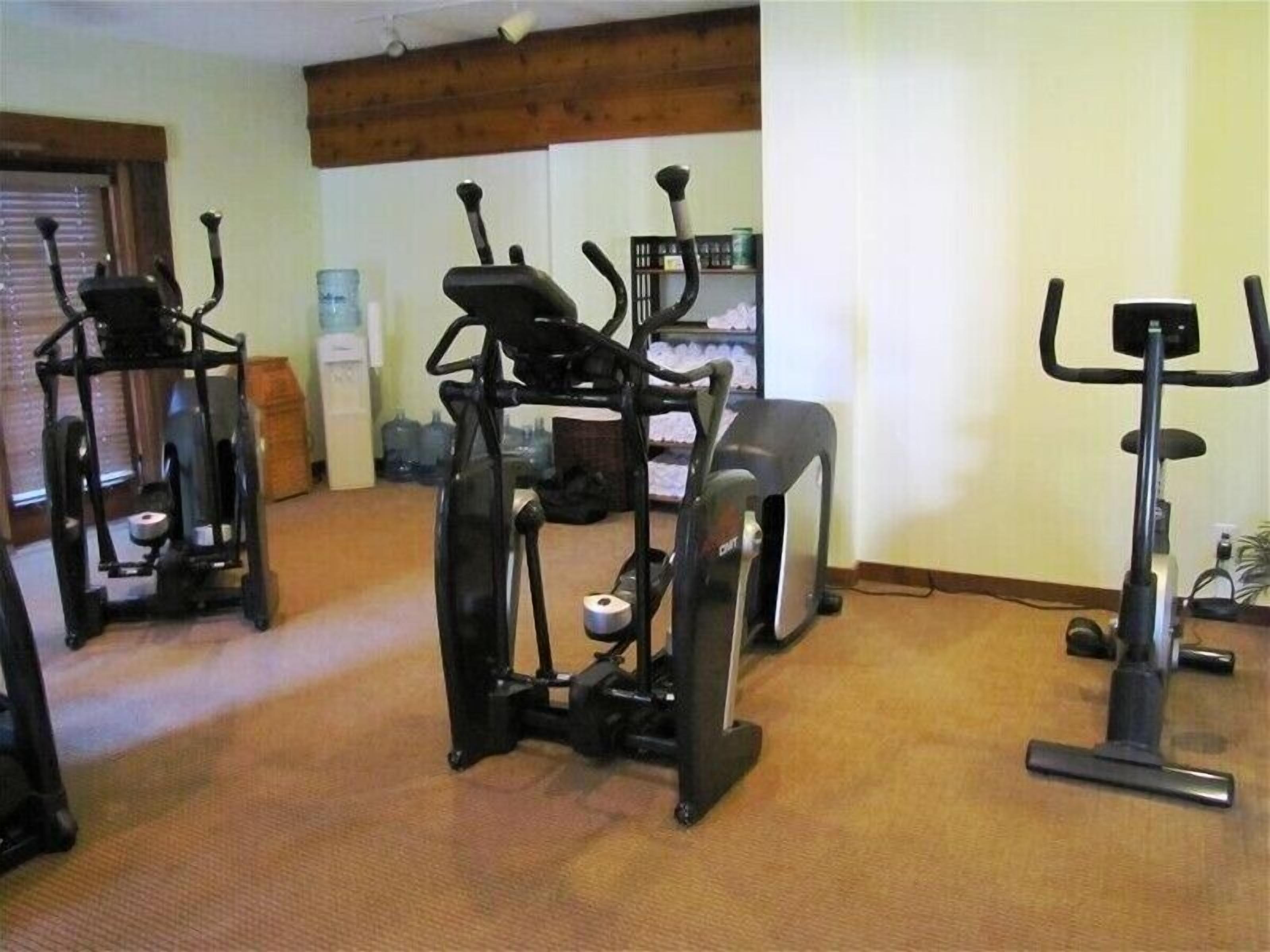 A home gym with stationary bikes, a treadmill, and a rowing machine.