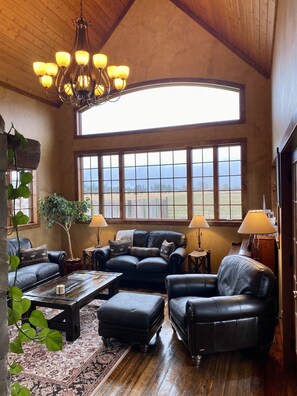 Smart TV, caminetto, lettore DVD