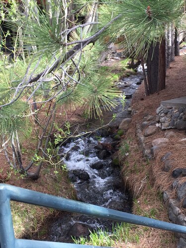 Incline Village Private 1st Fl  2 Bdrm 1 Bath of Condo w parking 