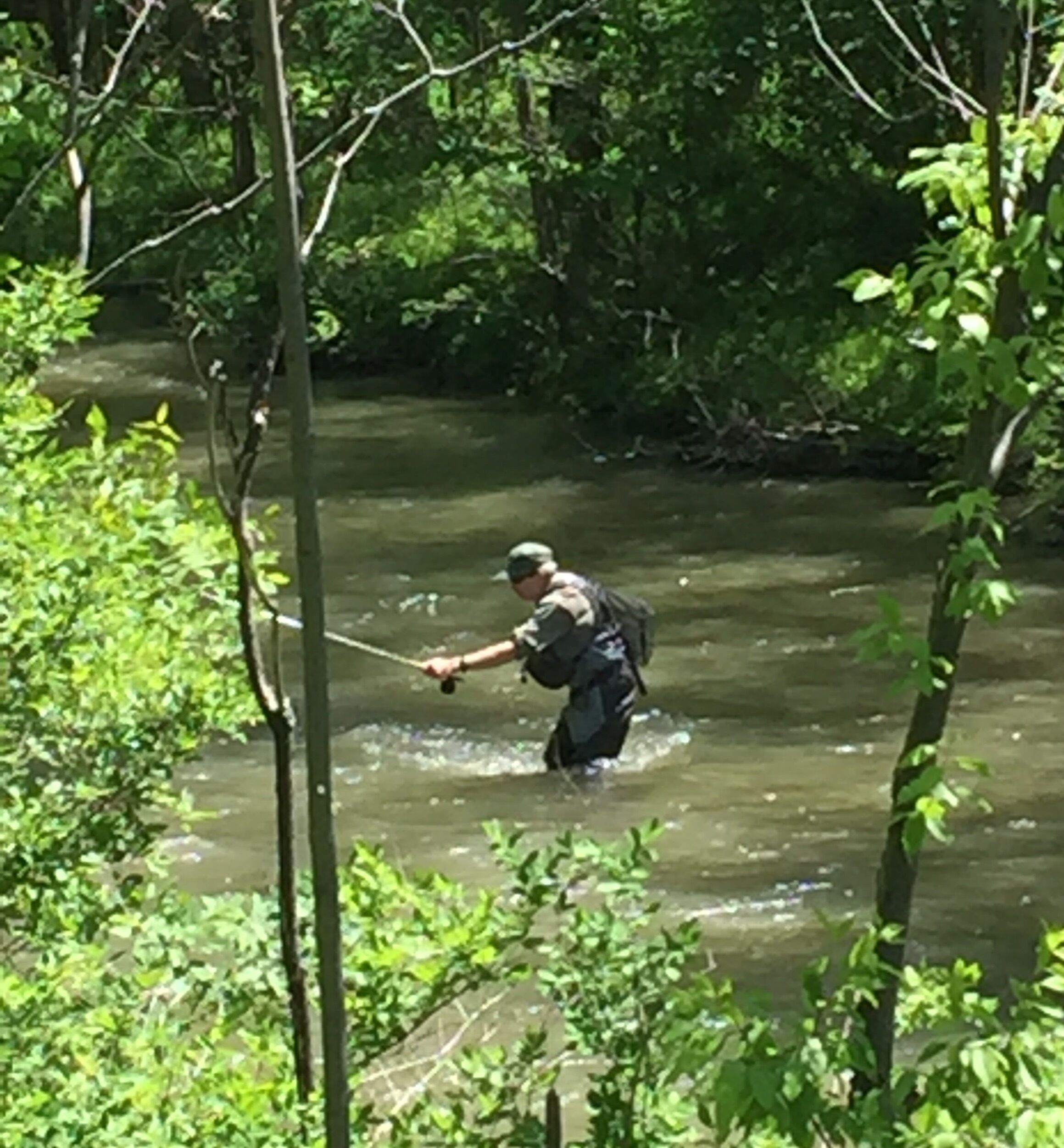 Une personne qui traverse une rivière, entourée d’une végétation luxuriante.