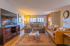 Smart TV, fireplace, DVD player, stereo