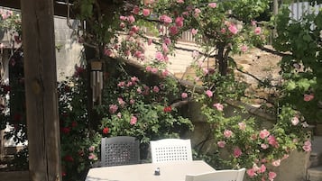 Dîner servi sur place