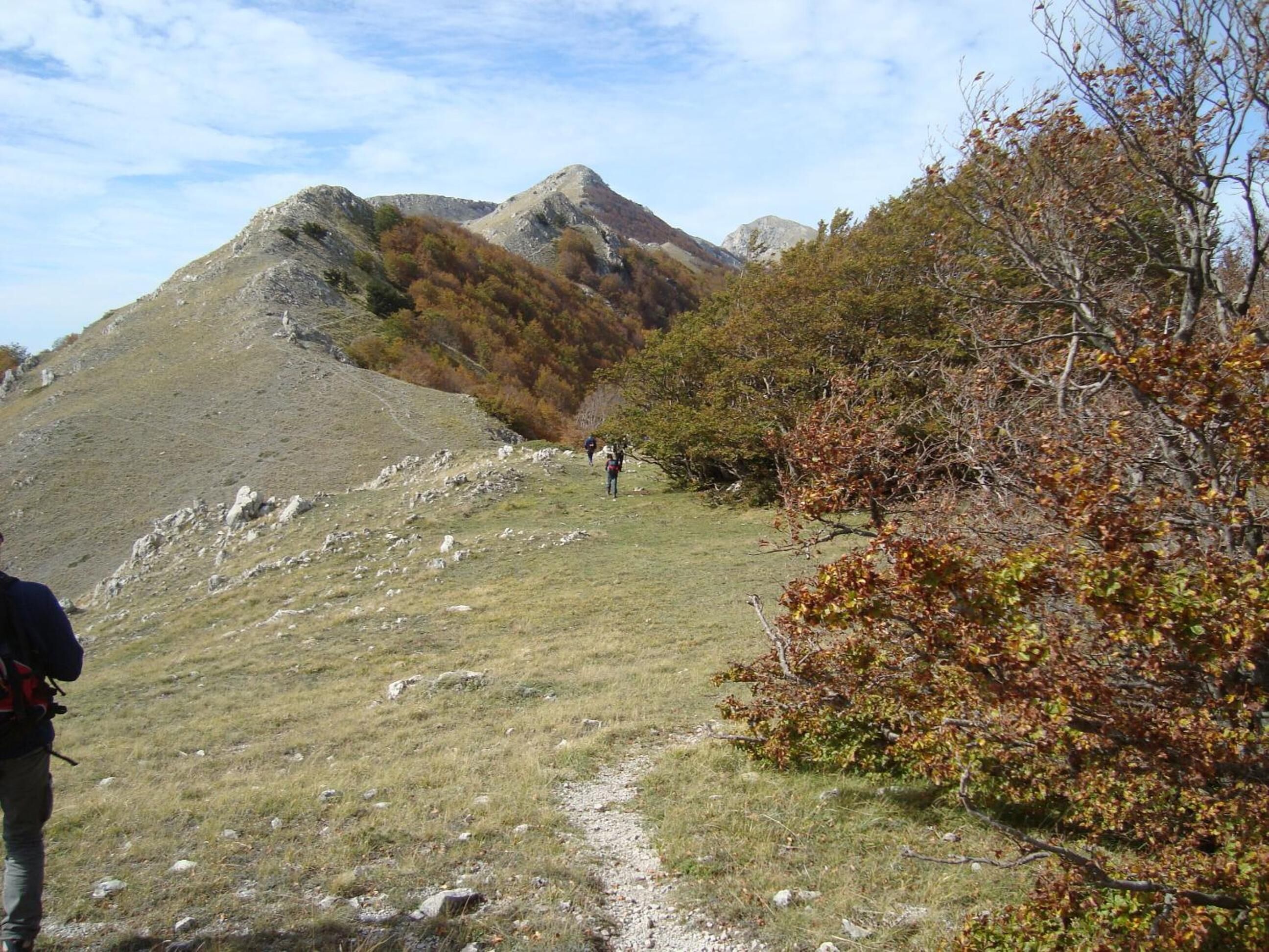 A hiking trail with rocky terrain and autumn foliage.