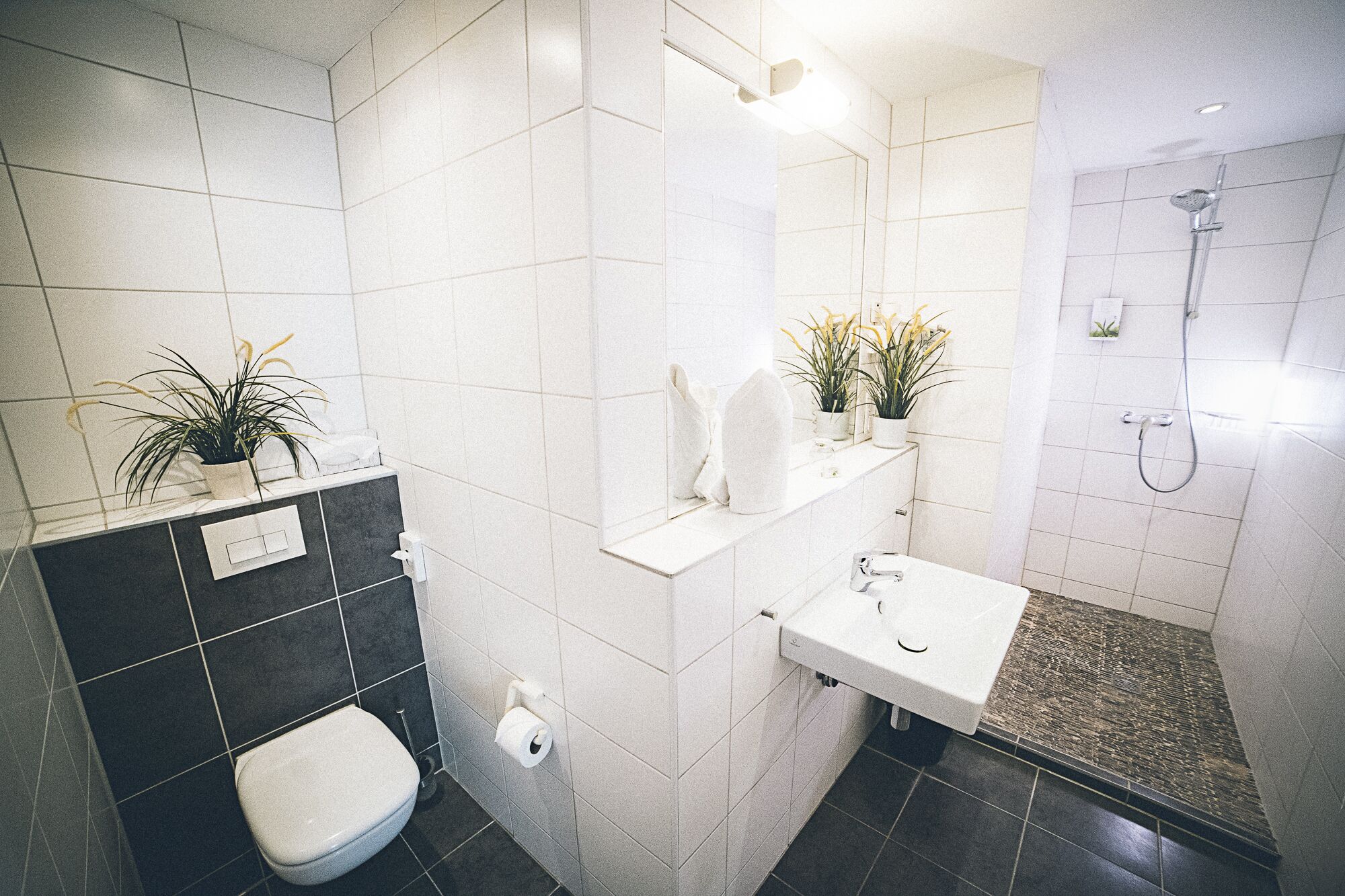 double room | bathroom | hair dryer, towels