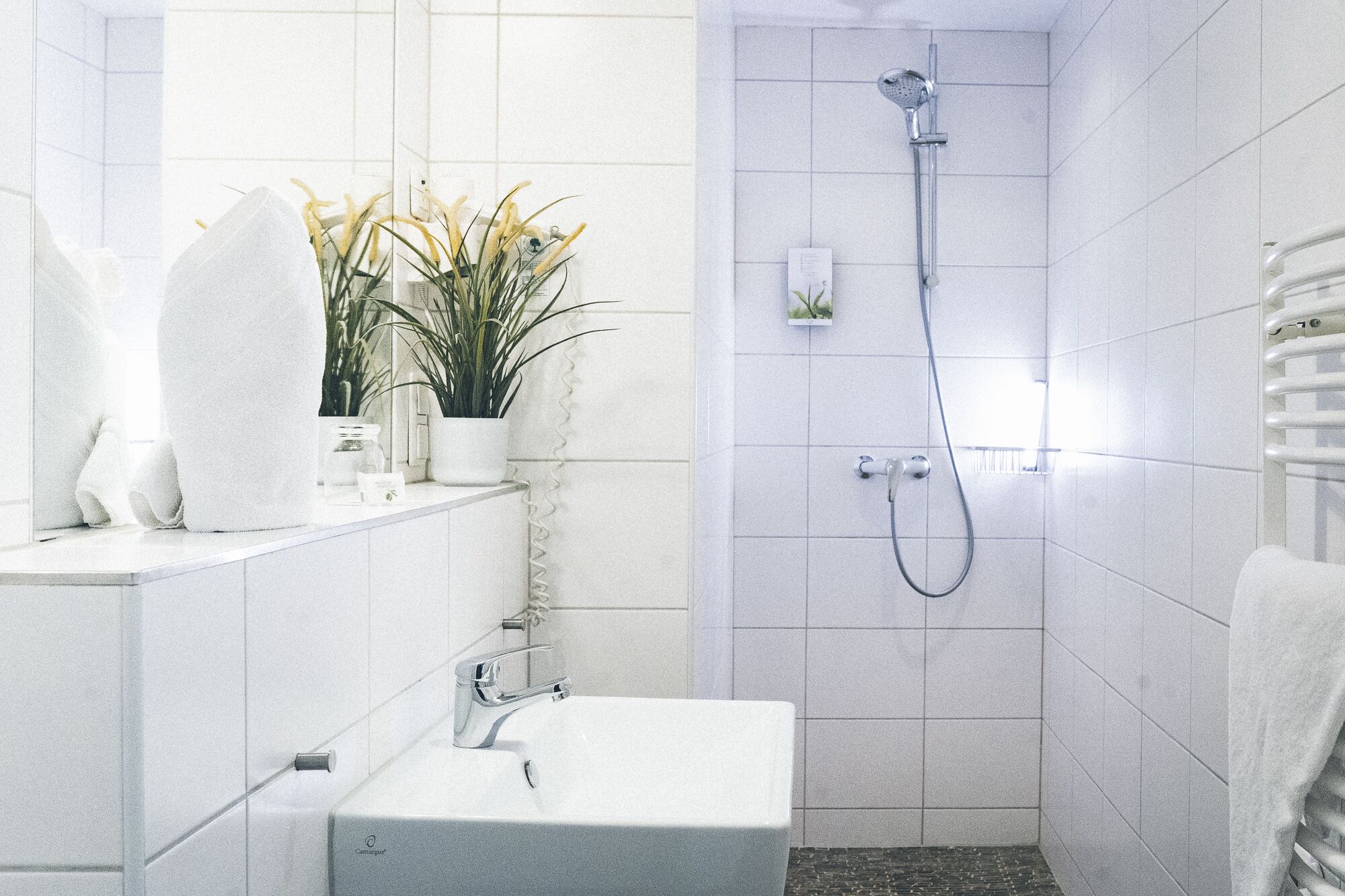 A modern bathroom with a shower, a sink, and a potted plant.