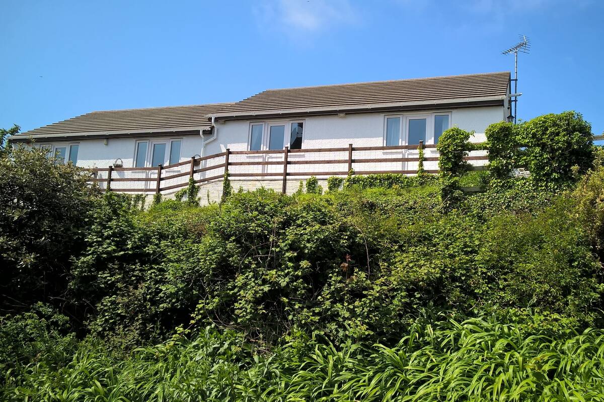 A two-story house with a sloped roof, surrounded by dense greenery.