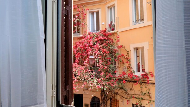 Vista desde una ventana de un edificio con enredaderas florecientes de color rosa y estilo arquitectónico tradicional.