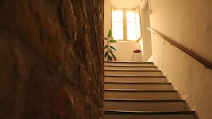 A staircase with wooden steps and a handrail, leading to a room with a window and a plant. - B&B Porta Santa Lucia (Fermo)