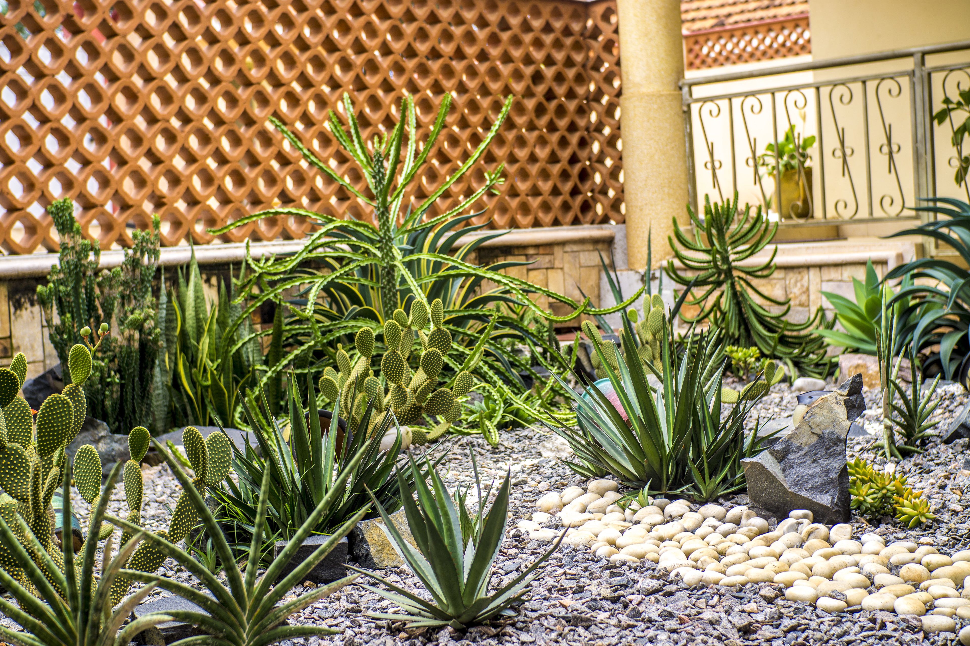 Vue depuis l’hébergement