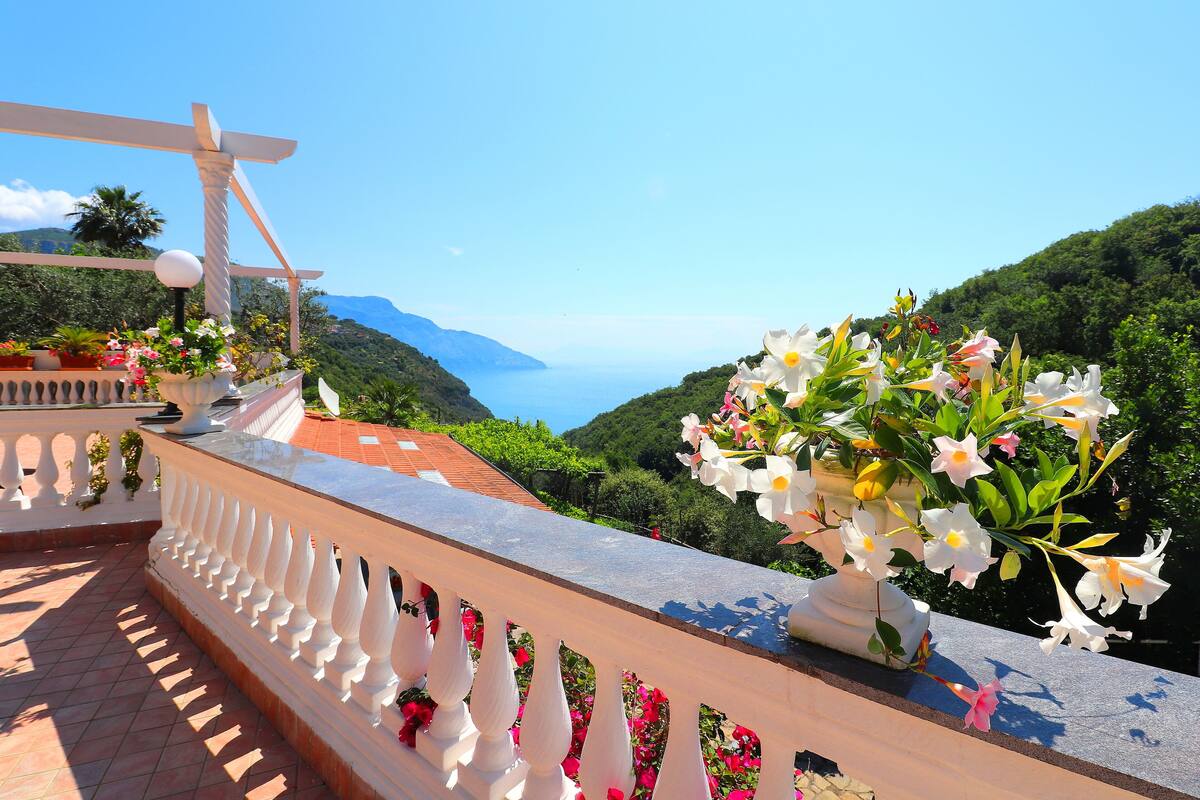 View from room