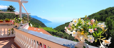 Vista desde la habitación