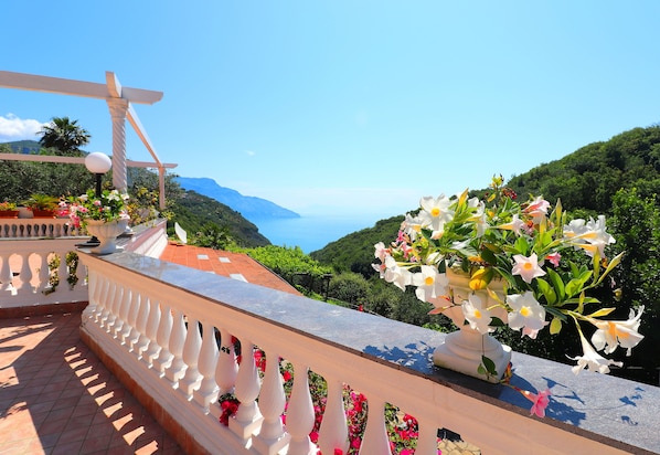 View from room - Villa Costanza Sorrento B&b (Sant'Agnello)