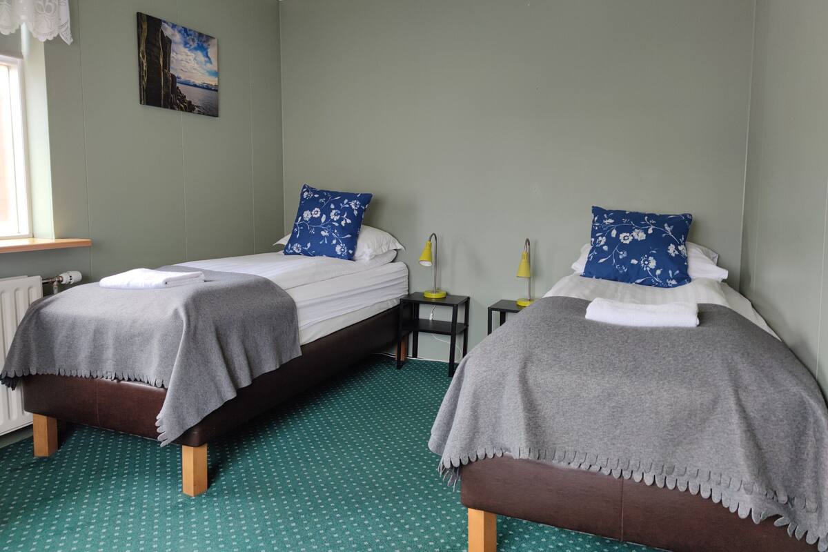 Une chambre double avec deux lits, chacun recouvert d’une couverture grise et agrémenté d’un coussin à motifs floraux bleus. Un tableau orne le mur, une fenêtre est drapée d’un rideau blanc, et un tapis à motifs verts recouvre le sol.
