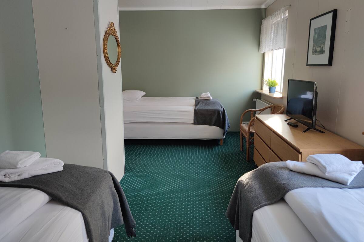 Une chambre d’hôtel avec deux lits, une télévision, une commode et une fenêtre avec des rideaux.
